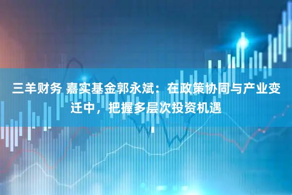 三羊财务 嘉实基金郭永斌：在政策协同与产业变迁中，把握多层次投资机遇